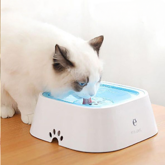 White automatic pet water fountain with blue filter, rag doll cat drinking fresh flowing water – hygienic and safe hydration solution for cats and small dogs