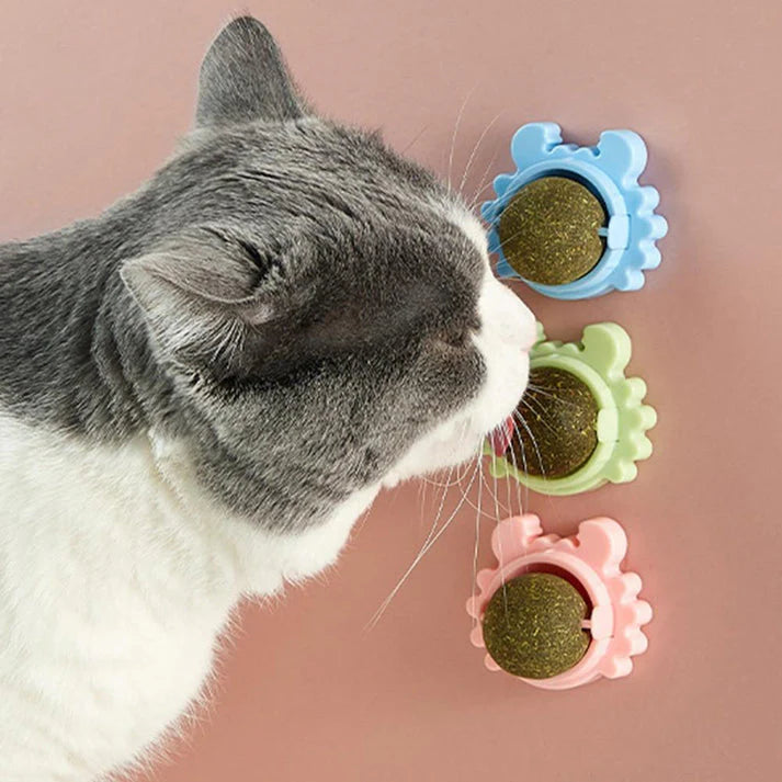 Cat licking catnip ball toy in colorful holder – interactive edible pet treat for stress relief, dental health, and fun play