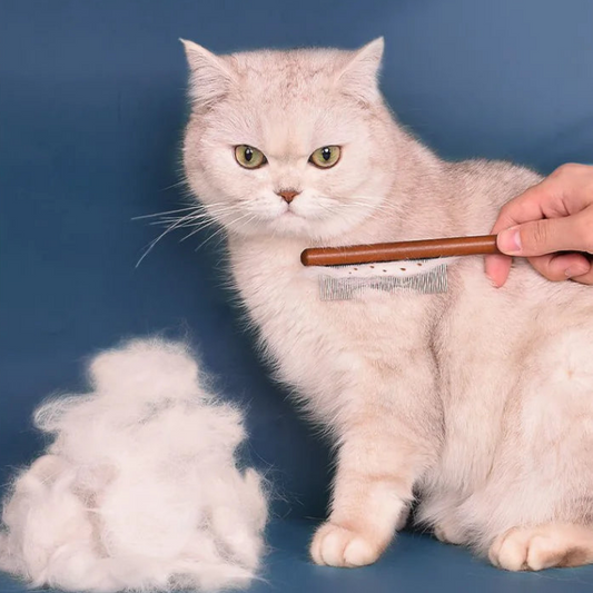 Cat grooming brush for shedding – professional pet deshedding comb removes loose fur and undercoat to reduce hairballs and keep coat healthy