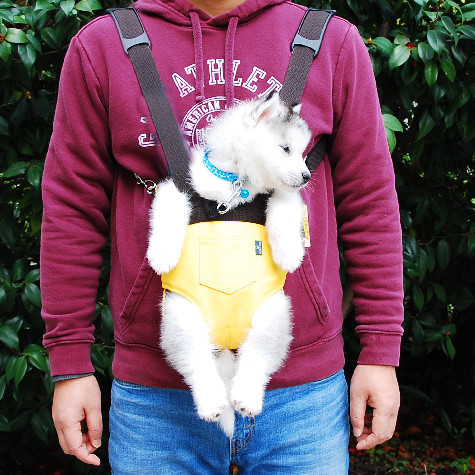 Adorable husky puppy in a yellow pet front carrier backpack – hands-free dog sling for walking and outdoor travel