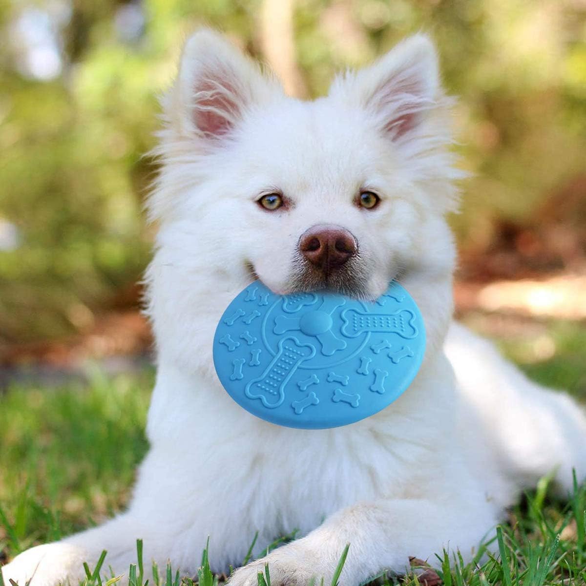 Durable blue rubber chew toy Frisbee for dogs – interactive fetch and dental care play