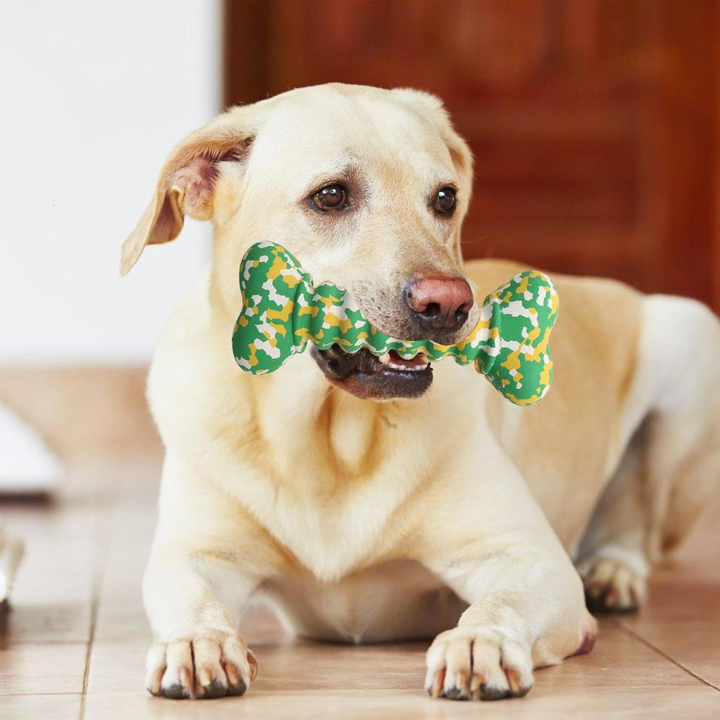 Happy Labrador retriever dog chewing green bone-shaped chew toy, durable pet chew toy for dental health, interactive play and teething relief for dogs