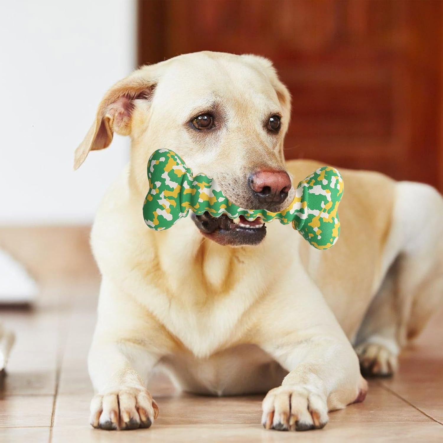 Happy Labrador retriever dog chewing green bone-shaped chew toy, durable pet chew toy for dental health, interactive play and teething relief for dogs