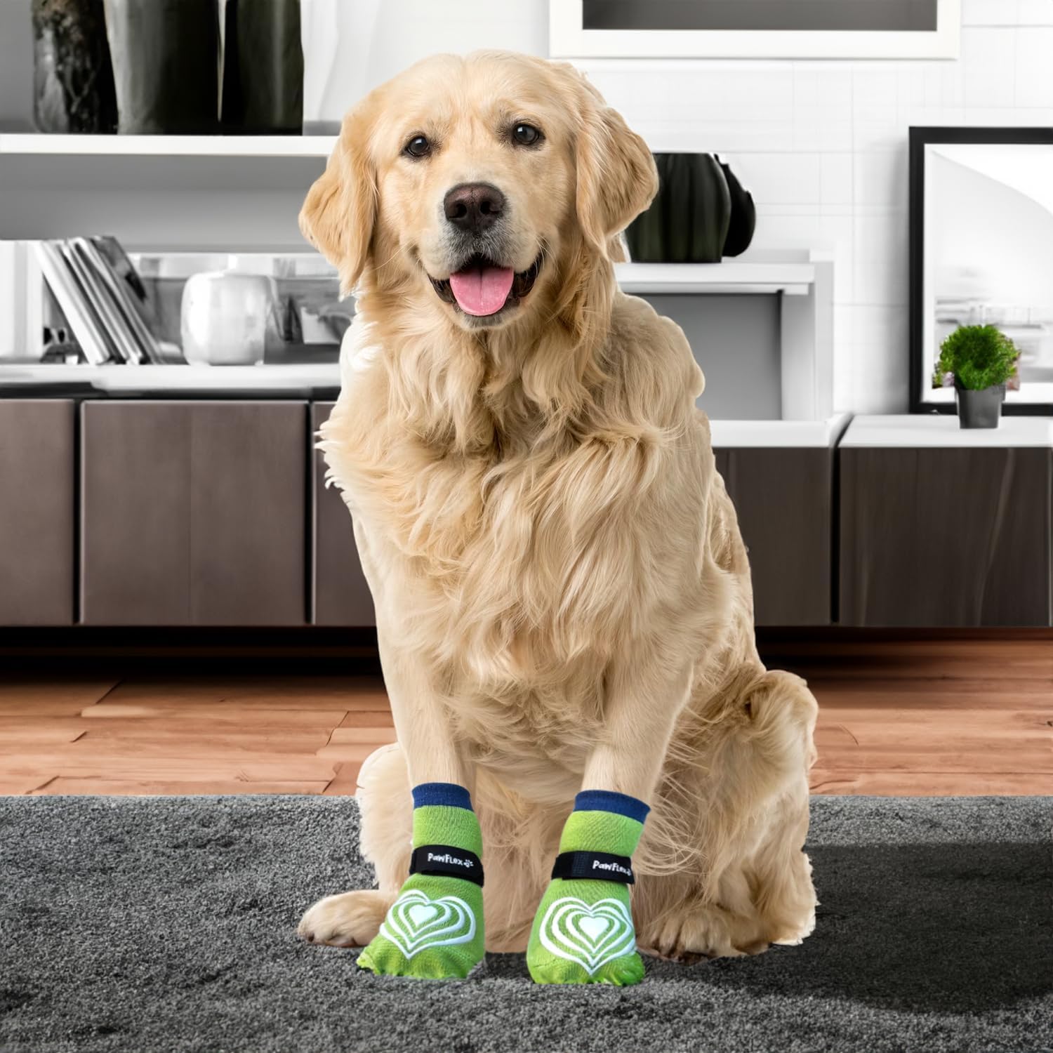 Golden Retriever wearing non-slip dog socks – anti-slip pet paw protectors for hardwood floors