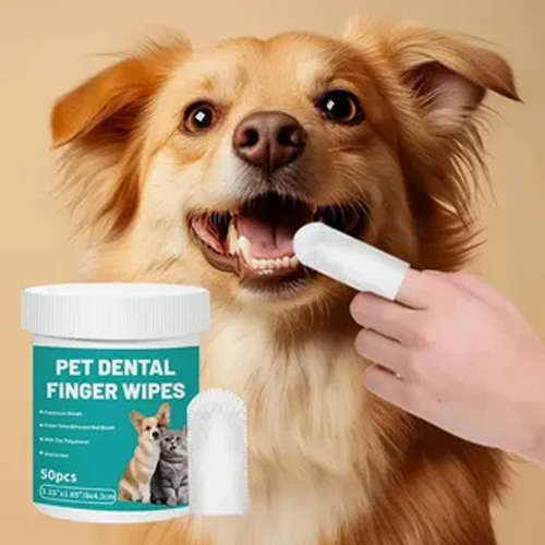 Pet dental finger wipes for dogs and cats, easy teeth cleaning and oral care, puppy getting teeth wiped with finger wipe for fresh breath and healthy gums