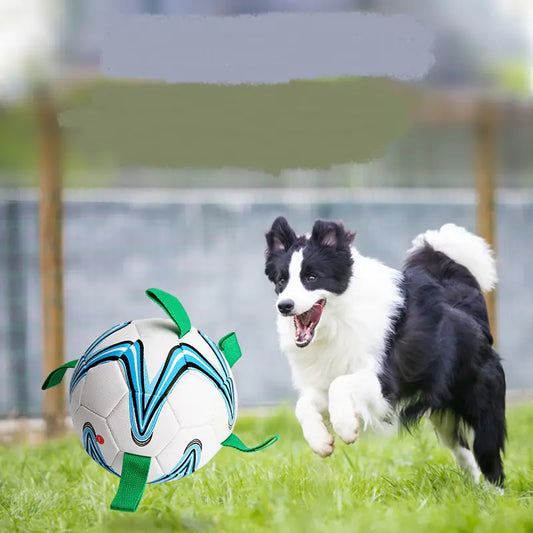 Dog soccer ball toy with grab tabs – durable interactive fetch ball for dogs, outdoor training and exercise toy for active pets