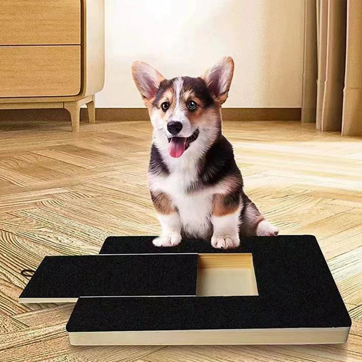 Cute Corgi puppy sitting on a black indoor dog potty training pad with removable tray for easy cleaning