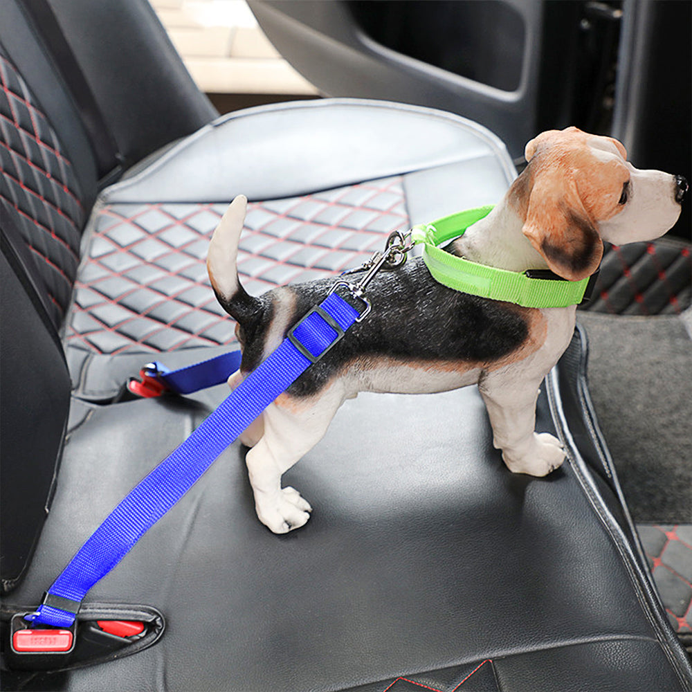Small dog wearing green harness attached to blue dog car seat belt – adjustable pet safety seat belt for car travel protection