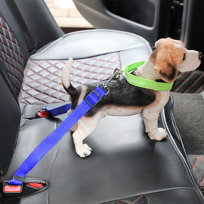 Small dog wearing green harness attached to blue dog car seat belt – adjustable pet safety seat belt for car travel protection