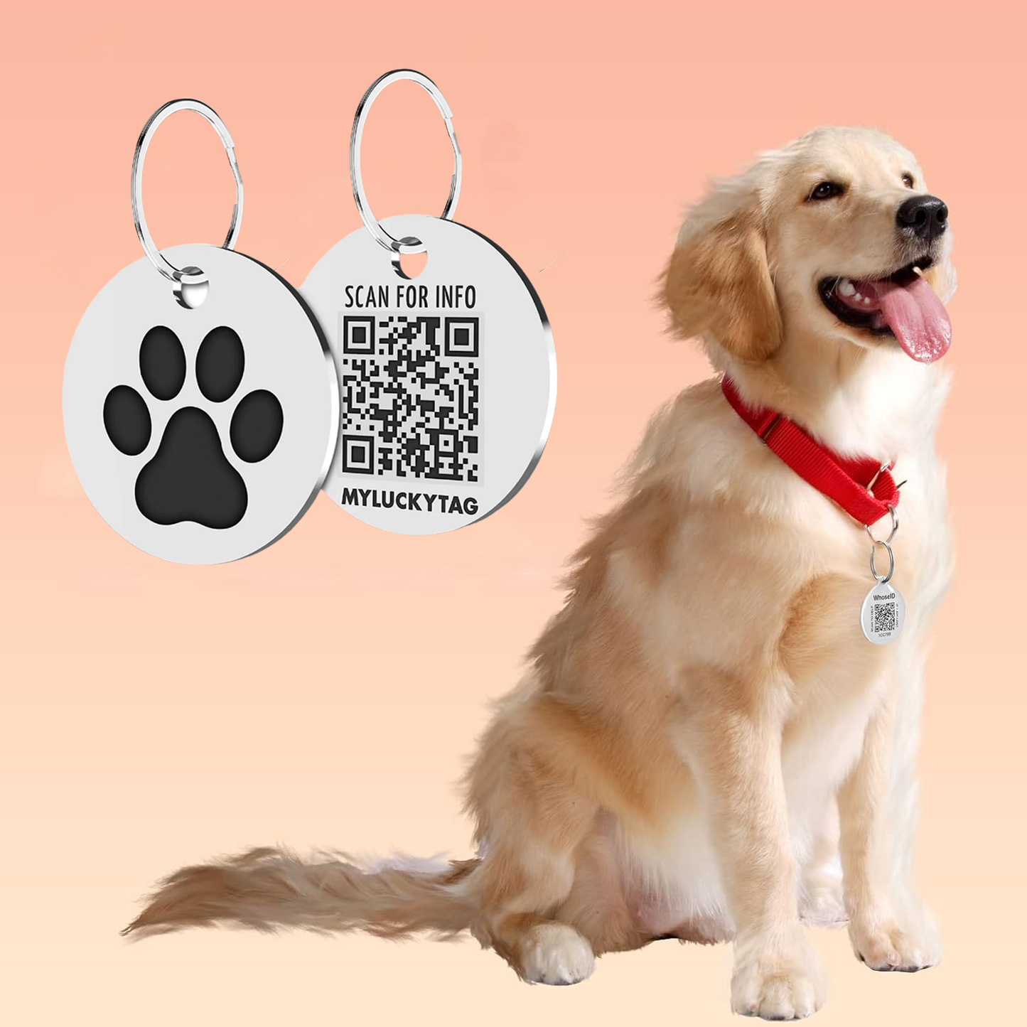 Custom pet ID tag with paw print design and QR code, engraved dog identification tag for safety, golden retriever wearing red collar with personalized tag