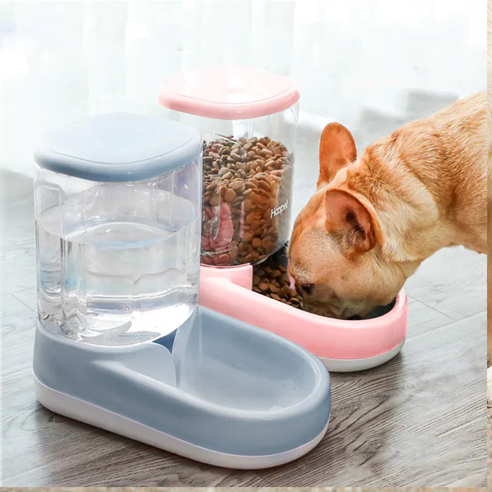 Automatic dog feeder and water dispenser set, pet food storage container with gravity refill system, French Bulldog eating from pink feeder beside blue water dispenser