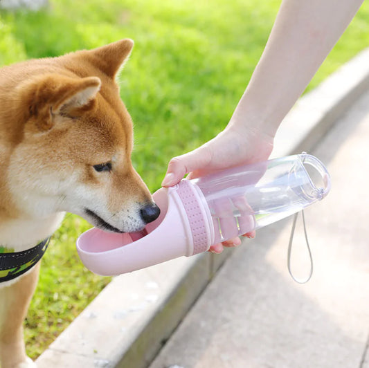 Shiba Inu dog drinking from a portable pink pet water bottle with built-in dispenser, travel dog water bottle for outdoor walks and hydration on the go