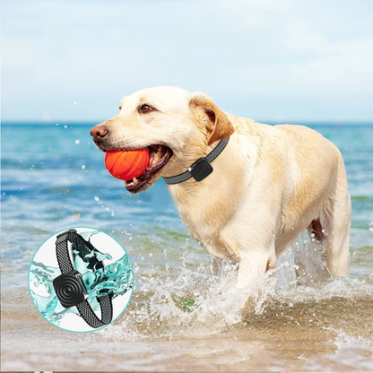 Waterproof dog collar with reflective design – durable pet collar for swimming, outdoor play, and training