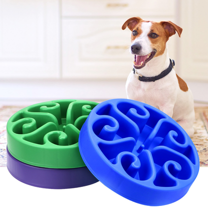 Jack Russell Terrier dog sitting beside green and blue slow feeder bowls, non-slip interactive pet feeding dishes designed to prevent fast eating and improve digestion