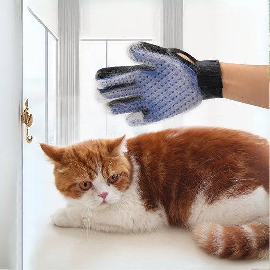 Pet grooming glove for cats – deshedding brush glove removes loose fur, reduces shedding, and massages cat’s coat for healthy grooming